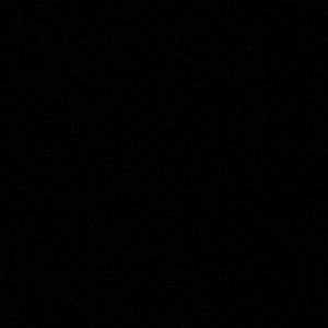 Meet your Posher, Donovan